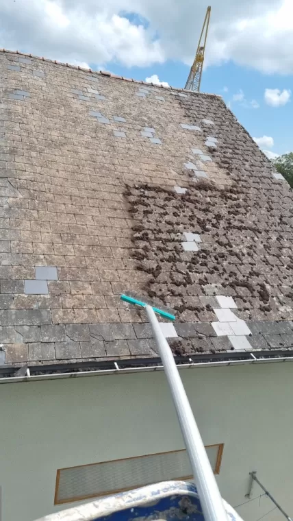Démoussage de toiture en ardoise  à Mésigny, Annecy, JORDAN LAFORET RÉNOVATION