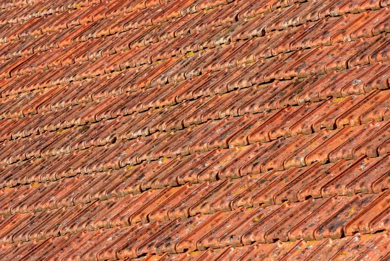 Nettoyage et démoussage de toiture avant la fin de l'été à Annecy, Annecy, JORDAN LAFORET RÉNOVATION